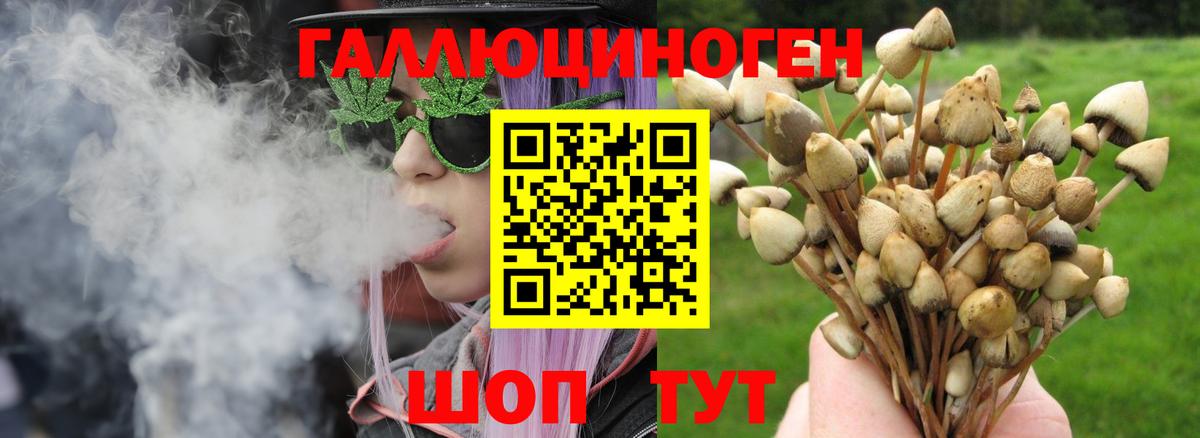 Югорск  Псилоцибиновые грибы GOLDEN TEACHER  Вход с VPN  Галлюциногенные грибы Psilocybe 